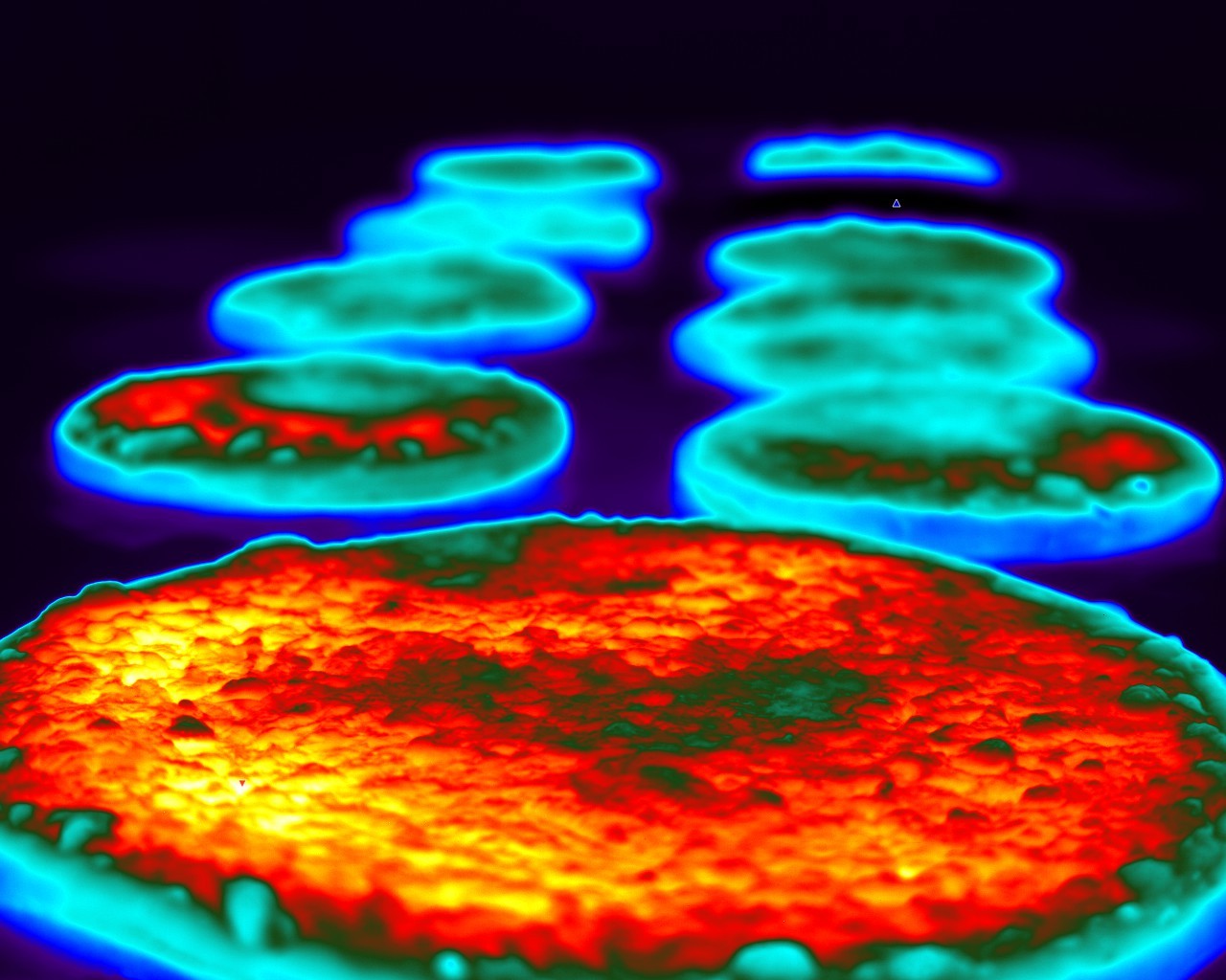 /contentassets/27db882c6b064f75af423f45d4a08d08/thermal-image-pizza.jpg