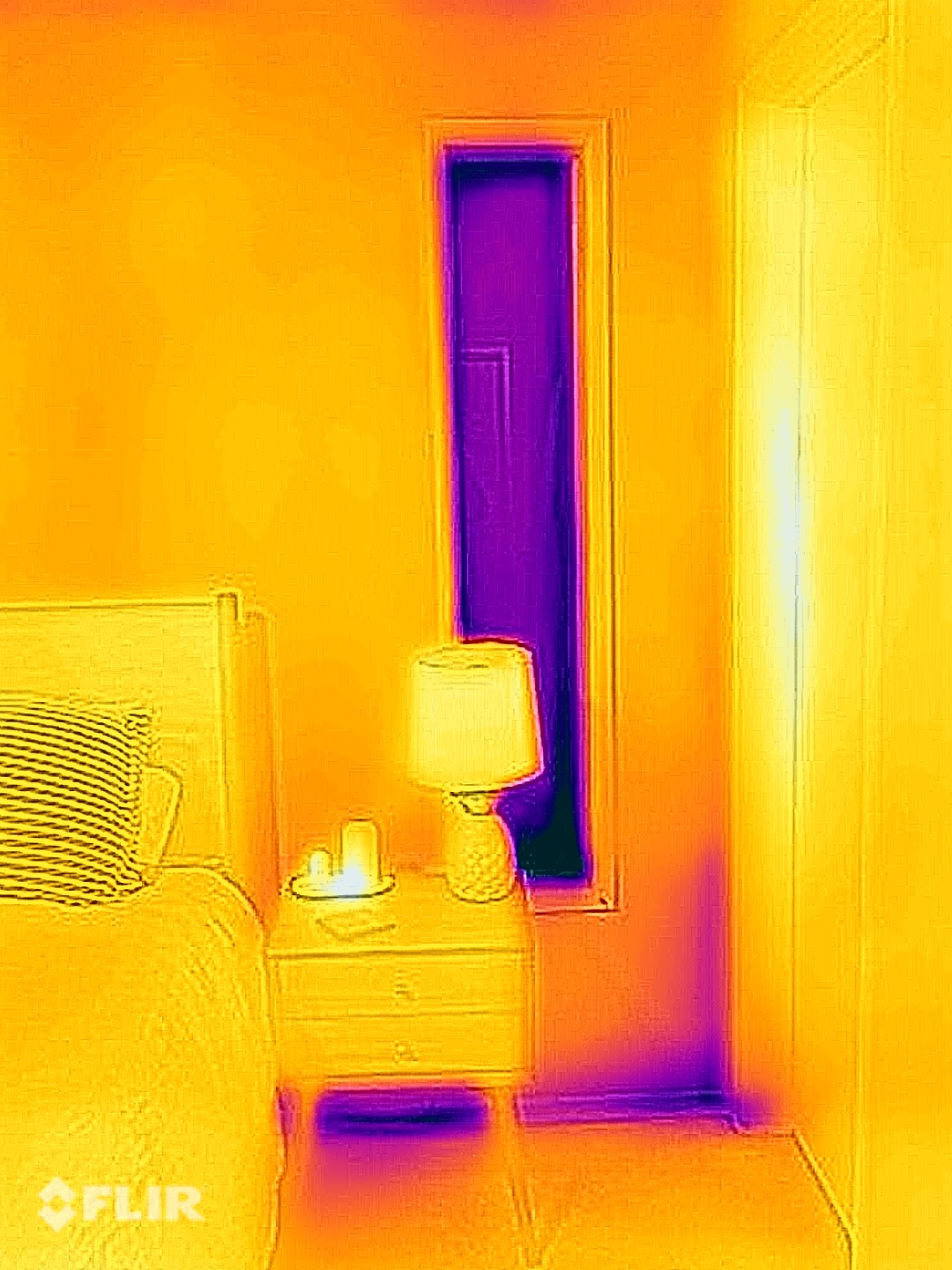 FLIR ONE® Edge Proの5つの活用方法 | Teledyne FLIR FLIR ONE® Edge Proの5つの活用方法 | Teledyne FLIR
