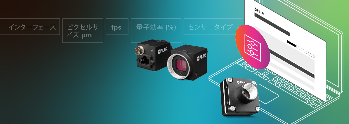 flir gige camera